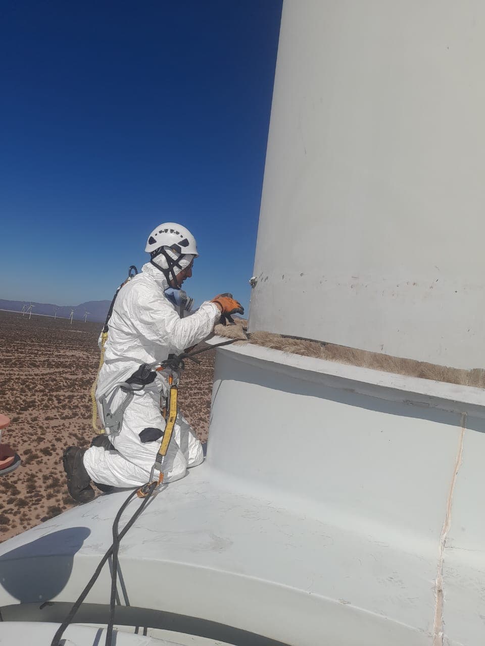 Servicio: Control de calidad